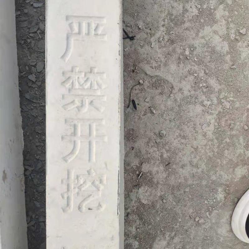 image_5.jpg